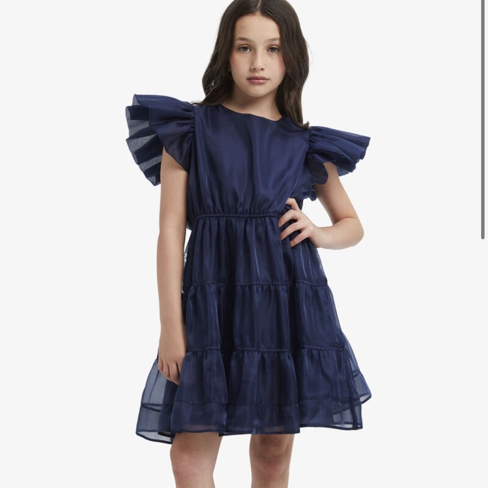 Bardot Junior Girls Oshin Organza Dress In Navy - Picture 2 of 13